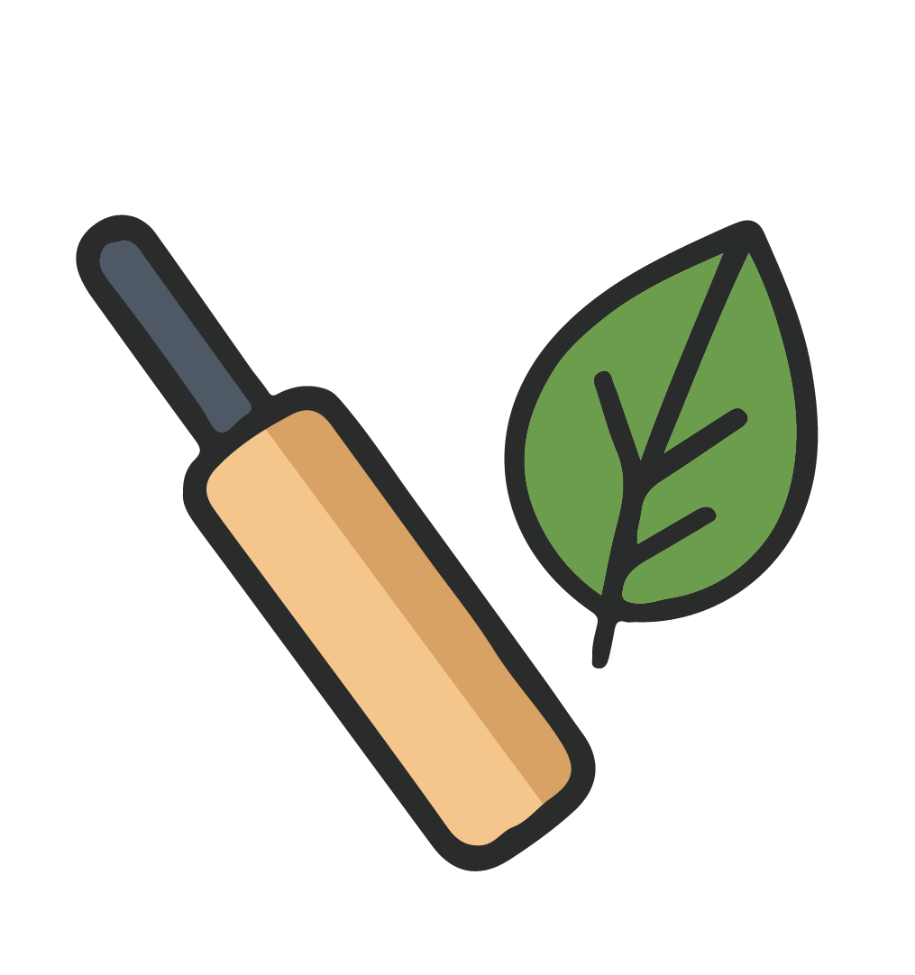 An icon for Trogon cricket representing our premium english willow that is used in all our cricket bats