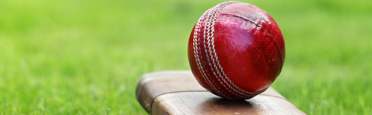 The Ultimate Cricket Bat Buying Guide
