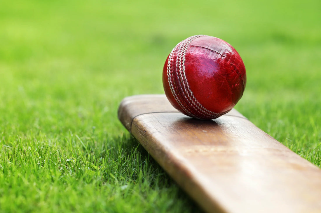 What are the main types of cricket bats available?