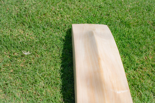 2lb 7oz Cricket Bat Explained