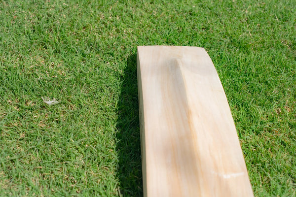 How to Choose a 2lb 7oz Cricket Bat