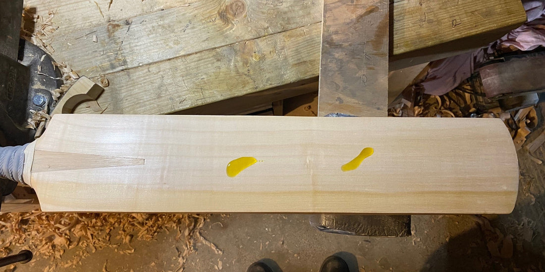 How to Oil a Cricket Bat: The Complete Guide