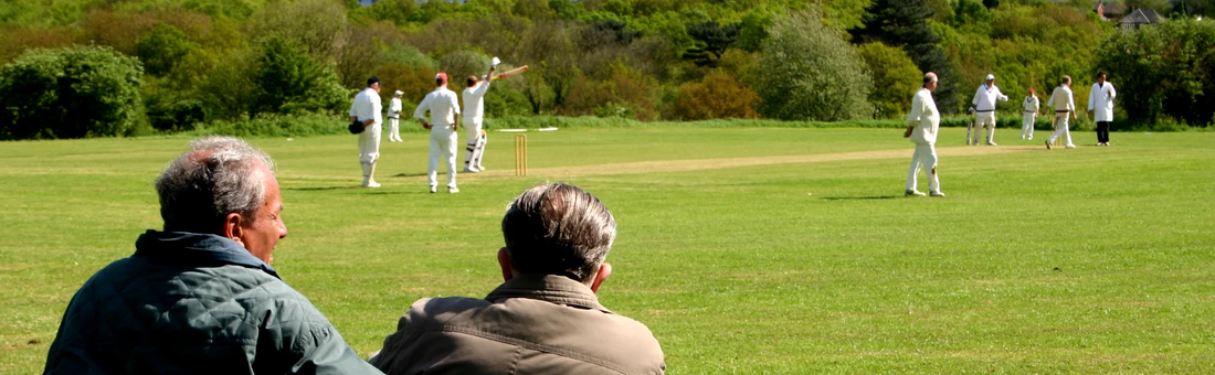 The Legacy of Cricket Willow: A Journey Through the History, Craft, and Future of Cricket Bats