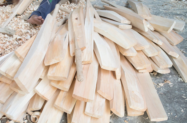 The Alluring World of Kashmir Willow Cricket Bats