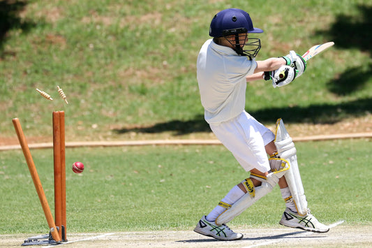 Why Kashmir willow is perfect for your growing child's cricket bat