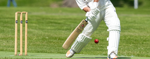Best Cricket Bat for Slogging: A Comprehensive Guide