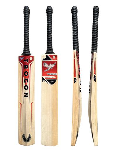 £351 to £400 English Willow Cricket Bats