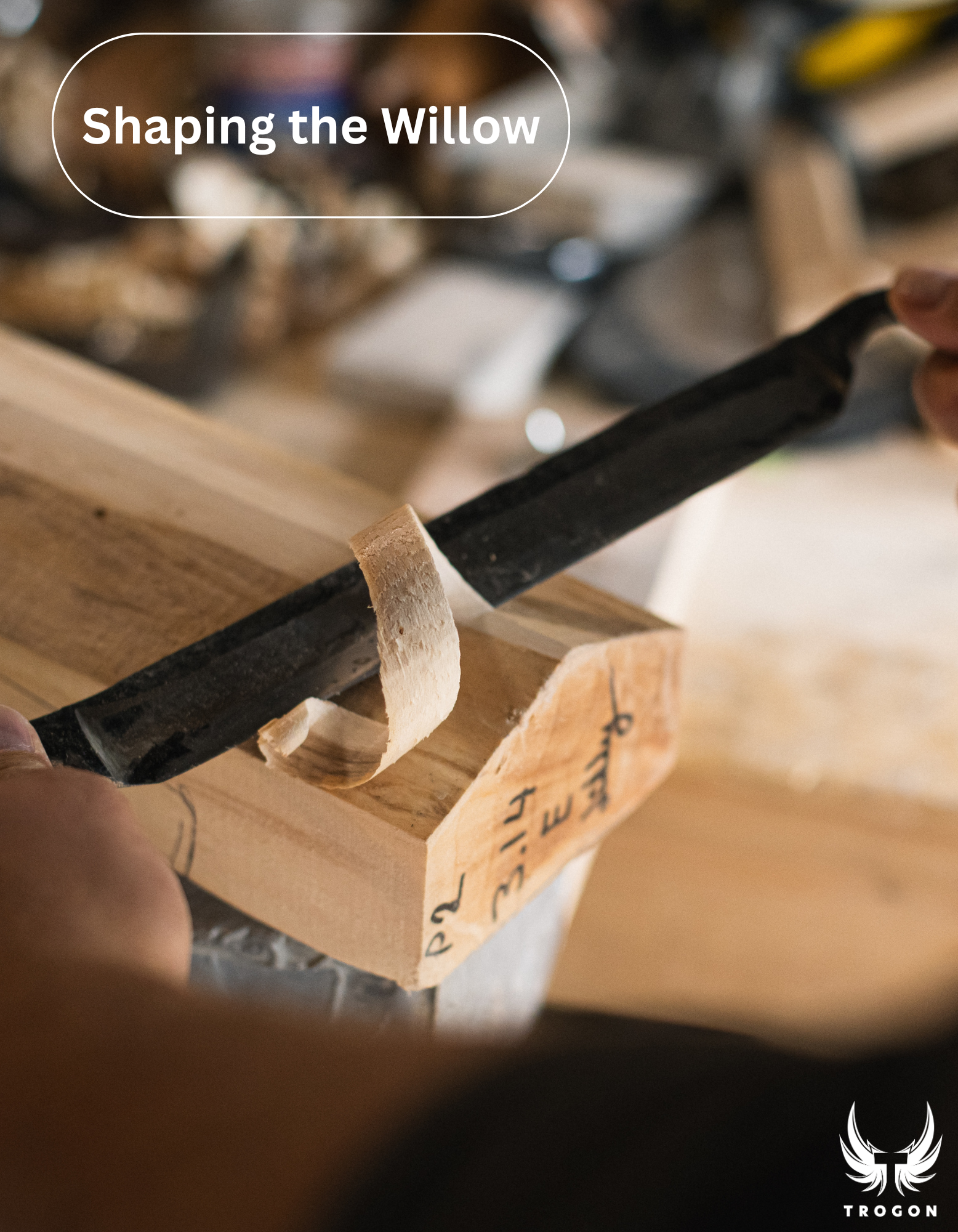 Shaping a Trogon cricket bat