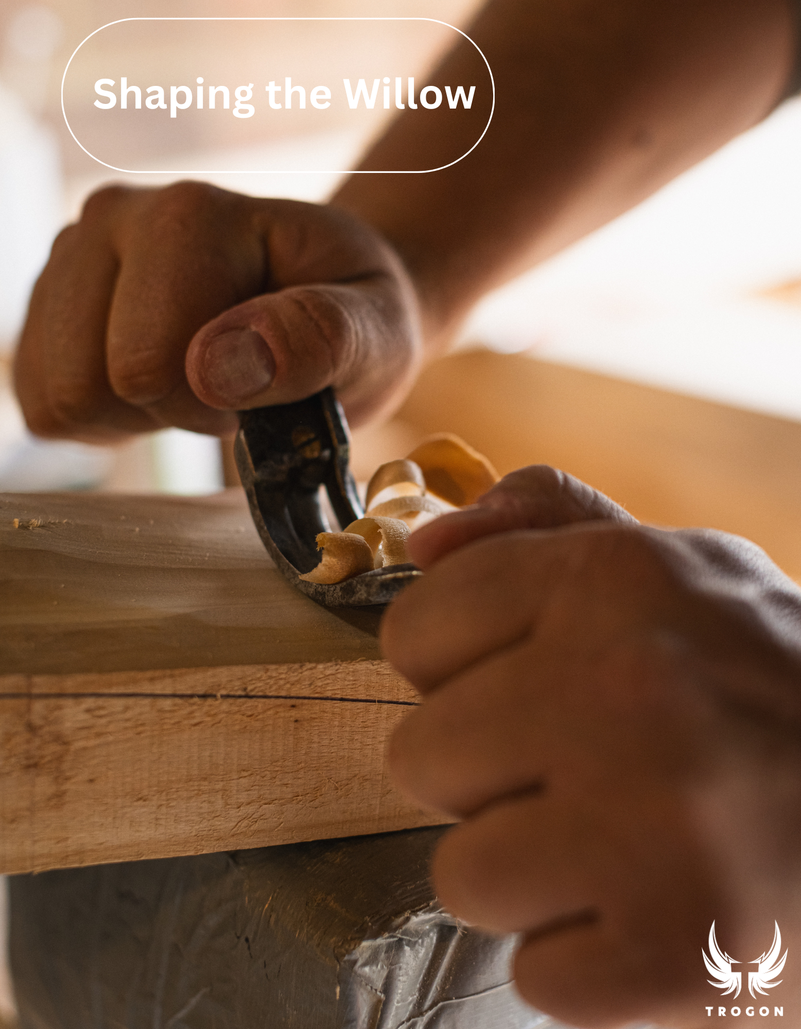 Person using a hand tool on a wooden surface with 'Shaping the Willow' text and Trogon logo.