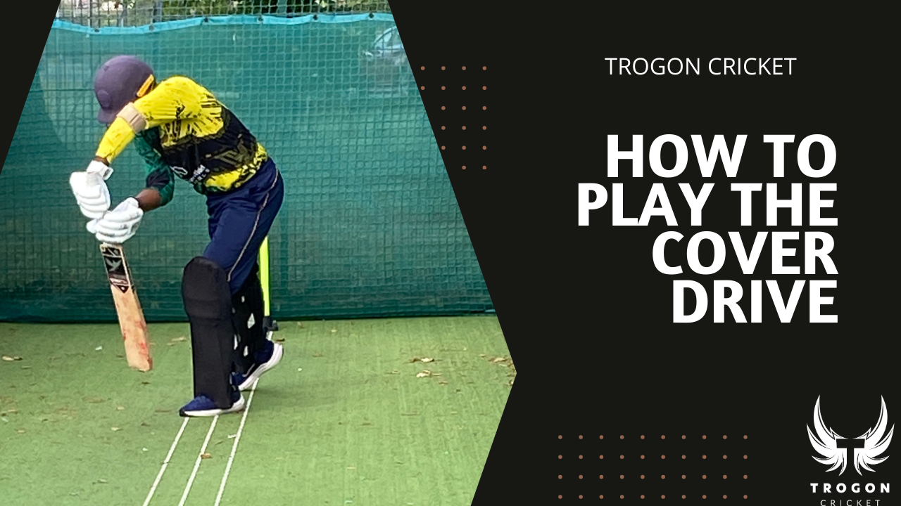 Trogon Cricket Academy how to play the cover drive