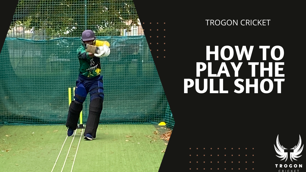 Trogon Cricket Academy how to play the pull shot