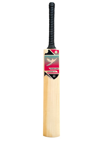A Grade 1, Size 6 English Willow Cricket Bat Weighing 1lb 15oz. A Perfectly Balanced, Lightweight Pick-Up Cricket Bat With Large Profiles and an Incredible Ping, a Perfect Cricket Bat for a Boy or Girl Who Is 5.15ft – 5.34ft Tall