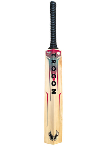 A Grade 1, Size 6 English Willow Cricket Bat Weighing 1lb 15oz. A Perfectly Balanced, Lightweight Pick-Up Cricket Bat With Large Profiles and an Incredible Ping, a Perfect Cricket Bat for a Boy or Girl Who Is 5.15ft – 5.34ft Tall