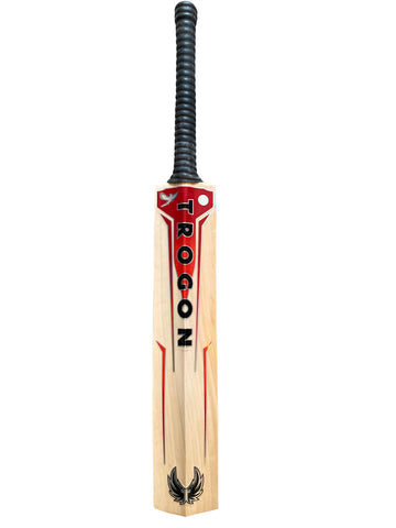 A Grade 1, Size 6 English Willow Cricket Bat Weighing 1lb 13oz. A Cricket Bat With a Full-Length Bow, Wonderfully Straight Grains, Large Profiles and a Wonderful Ping, Perfect for Any Boy or Girl Cricketer Who Is 5.15ft – 5.34ft Tall