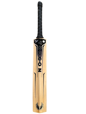 A Grade 2, Harrow English Willow Cricket Bat Weighing 2lb 2oz. A Beautifully Balanced Cricket Bat With a Lightweight Pick-Up, Large Edges and Spine and Insanely Good Ping, a Perfect Cricket Bat for a Boy or Girl Who Is 5.34f1 – 5 51ft Tall