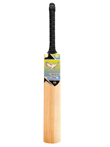 Grade 2, Size 3 English Willow Cricket Bat Weighing 1LB 9oz. A Cricket Bat With Large Edges, Lovely Middle and Incredible Ping a Beautiful Cricket Bat for a Boy or Girl Who Is 4.49ft – 4.72ft Tall