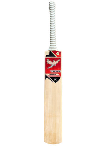 A Grade 1 English Willow Cricket Bat Weighing 2lb 9oz. A Beautiful Cricket Bat With a Full-Length Bow, Large Sweet Spot, Huge Edges and Incredible Ping and Lightweight Pick Up.