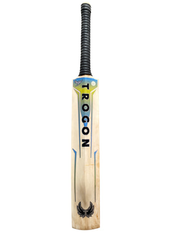 Grade 2 English Willow Cricket Bat Weighing 2lb 9oz. A Large Mid-Blade Sweet Spot With a Full Length Bow and Insanely Good Sweet Spot. 8 Lovely Straight Grains With a Semi-Oval Handle, Perfect Cricket Bat for a Serious Cricketer