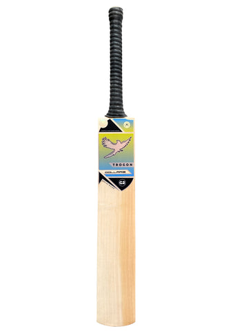 Grade 2 English Willow Short Handle Cricket Bat Weighing 2lb 8oz. 12 Straight Grains, an Incredibly Light Pick Up, Lovely Ping, Thick Edges, Perfect for Any Serious Cricketer Playing and Training Regularly