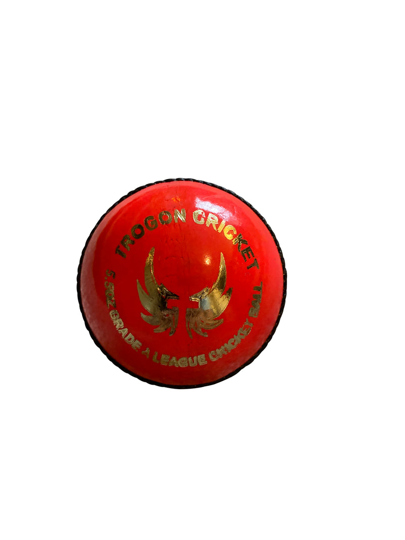 Adult 5.5oz Pink Cricket Balls