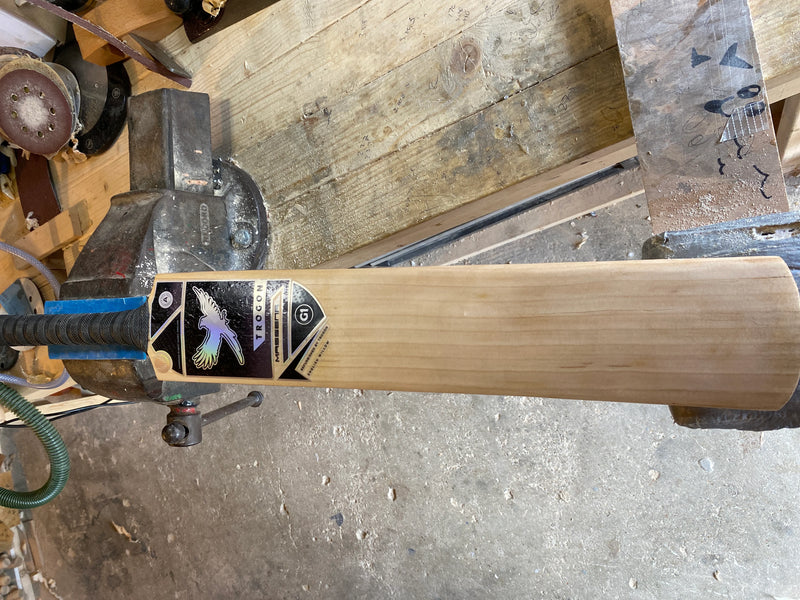 Full Cricket Bat Service & Winter Service