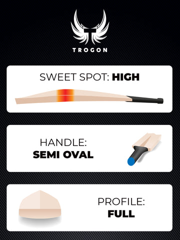 A Grade 1 Short Handle English Willow Cricket Bat Weighing 2lb 12oz, With a Light Pick-Up Feeling Like 2lb 10oz With a Full-Blade Bow, a Serious Grade 1 Cricket Bat for a Serious Cricketer.