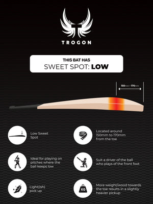 Cricket bat low sweet spot