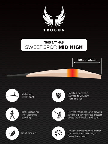 Grade 2, Size 3 English Willow Cricket Bat Weighing 1LB 9oz. A Cricket Bat With Large Edges, Lovely Middle and Incredible Ping a Beautiful Cricket Bat for a Boy or Girl Who Is 4.49ft – 4.72ft Tall