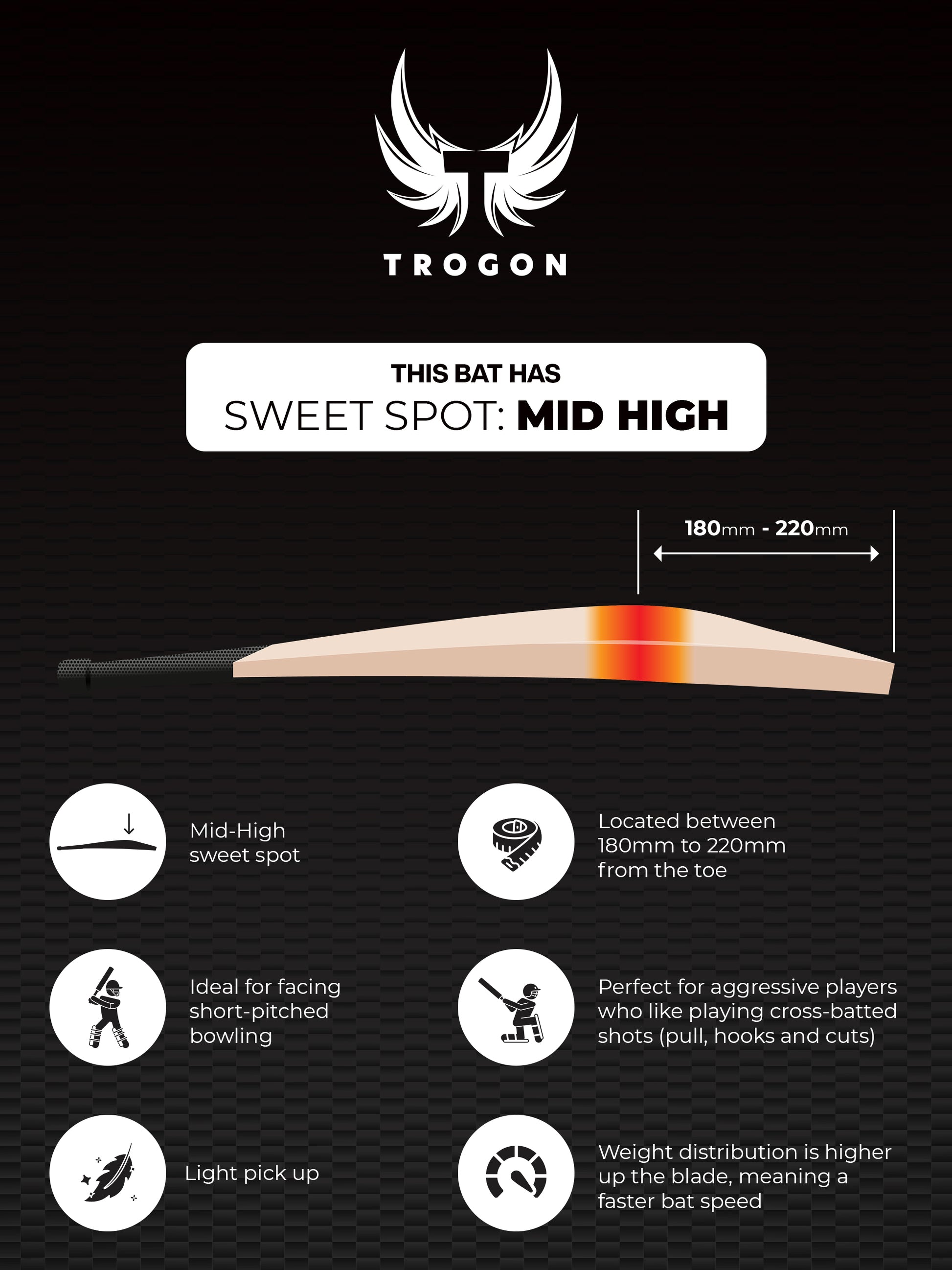 Cricket bat high sweet spot