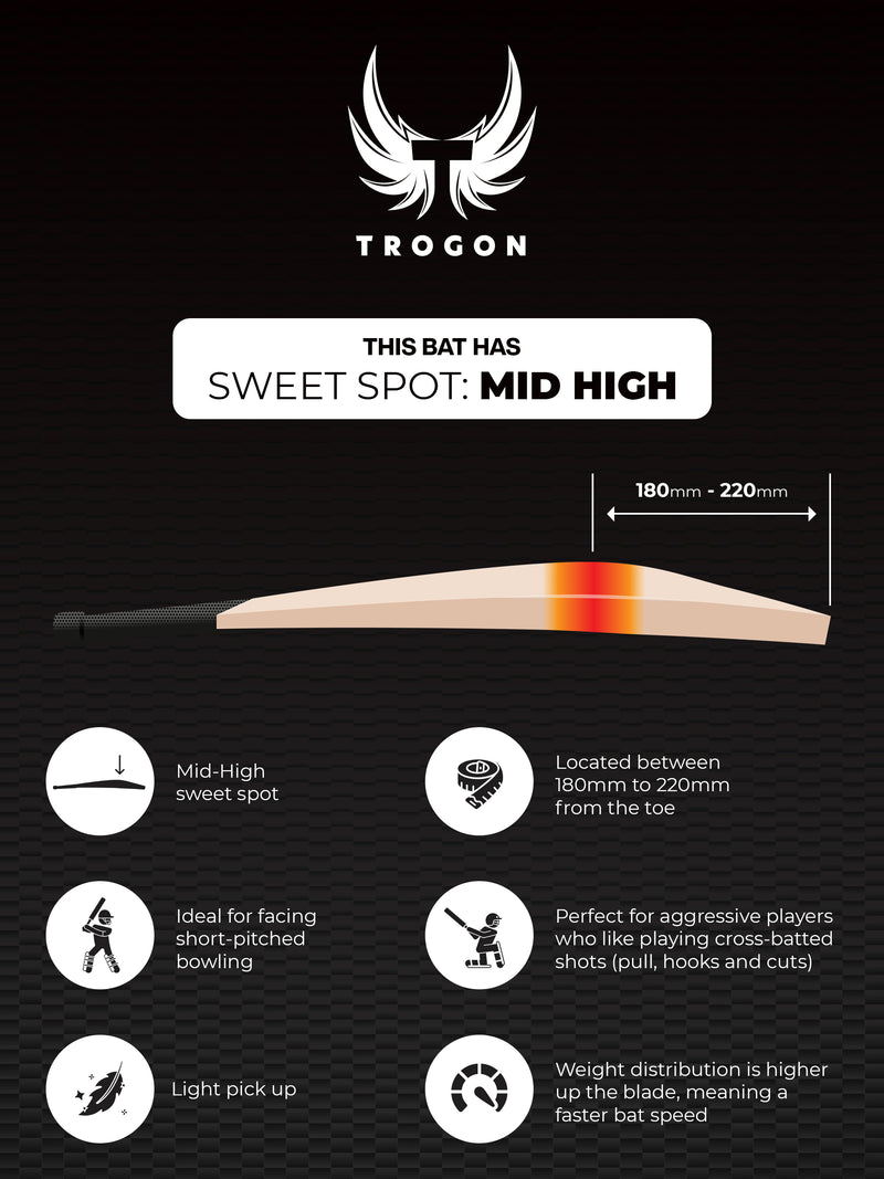 Infographic showcasing Trogon cricket with a high middle and showing the benefits of a high middle