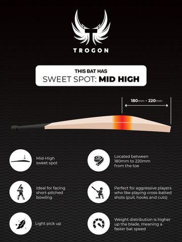 Grade 1 English Willow Cricket Bat Weighing 2lb 12oz, but Feels Like 2lb 9oz on Pick Up and Insanely Good Ping. 7 Lovely Grains With a Large Sweet Spot and Full Length Bow, an Ideal Cricket Bat for Any Serious Cricketer