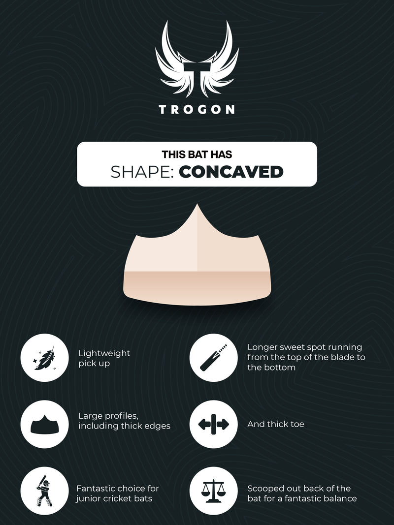 An infographic of a concaved cricket bat