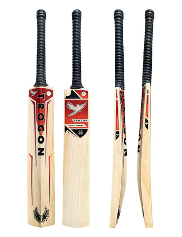 A Grade 1, Size 6 English Willow Cricket Bat Weighing 1lb 13oz. A Cricket Bat With a Full-Length Bow, Wonderfully Straight Grains, Large Profiles and a Wonderful Ping, Perfect for Any Boy or Girl Cricketer Who Is 5.15ft – 5.34ft Tall